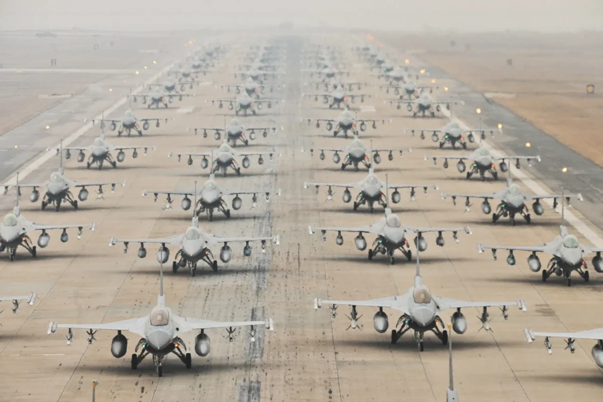 f-16 elephant walk