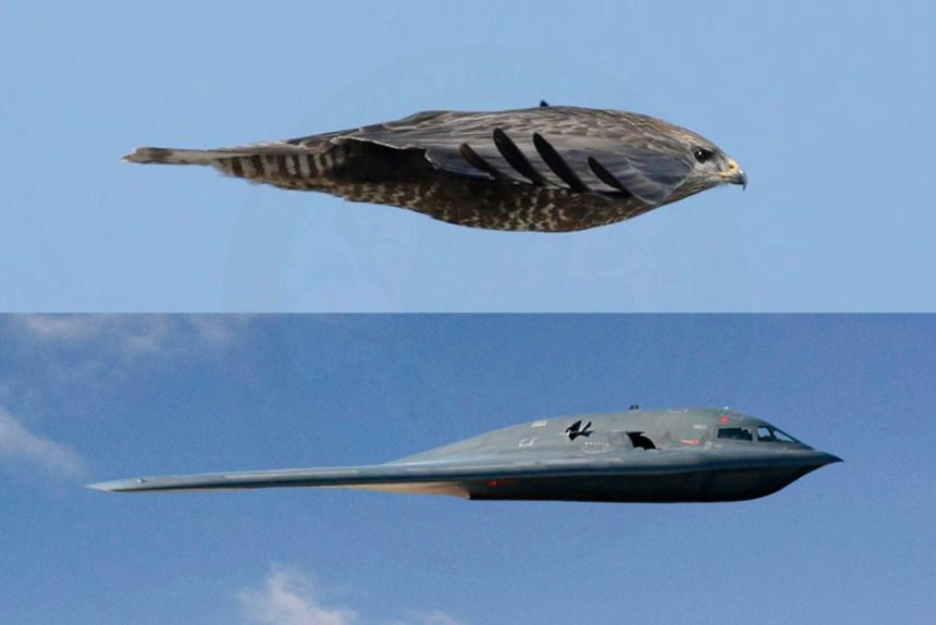 Design Inspiration of B-2 Spirit Bomber
