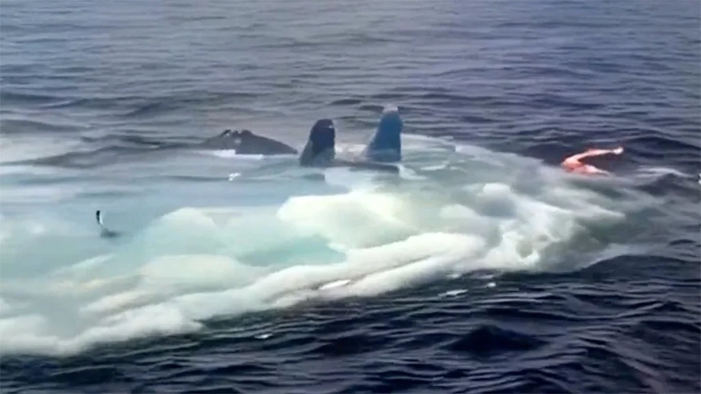 Su-33 fighter jet sinks into the sea
