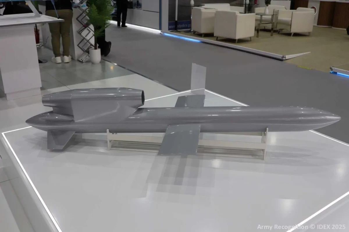 Ukraine flamingo missile