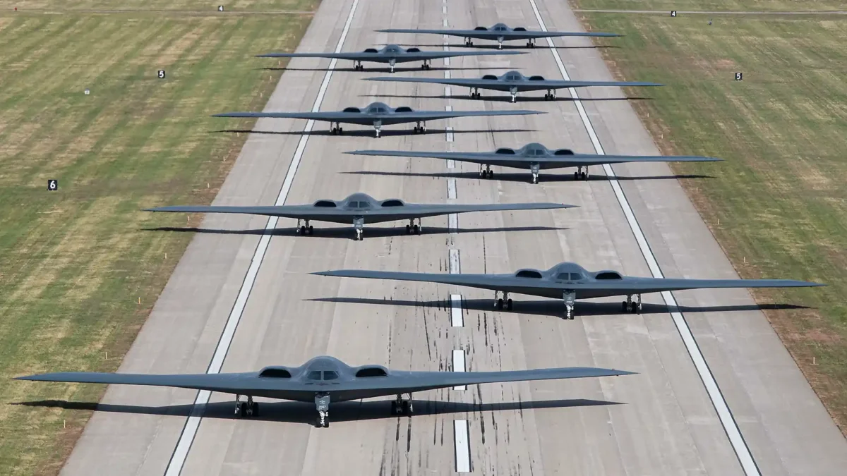 b2 bomber elephant walk