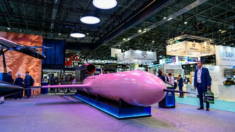 Germany Offers FP-5 Flamingo Cruise Missile for Ukraine Operations
